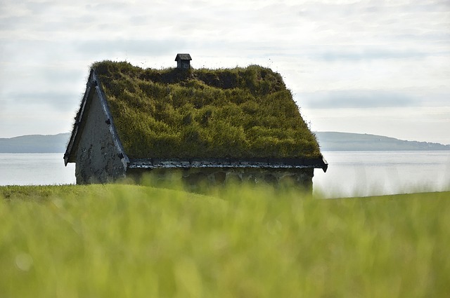 dům s travnatou střechou